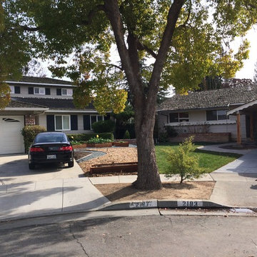 Front Yard Lawn Conversion: Phase 1