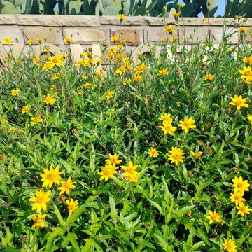 HOA Parks for Pollinators - Canyon Crest Park in Valley Ranch