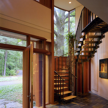 Modern "Tree House"