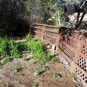 BEFORE: Backyard fence falling over.