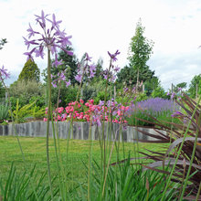 Jardin sec