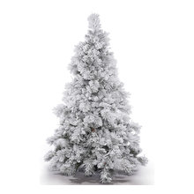 Wish List
