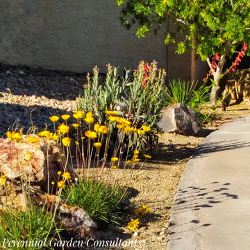 Front Yard Fix