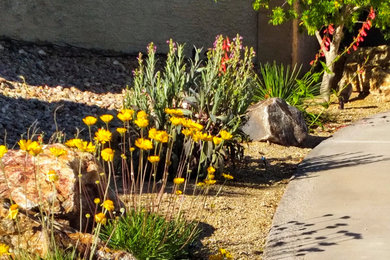 Photo of a drought-tolerant and desert front yard landscaping in Las Vegas.