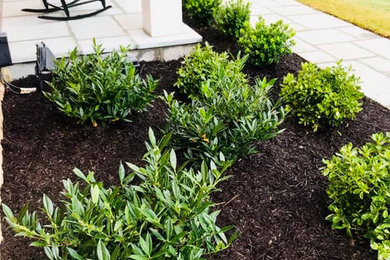 Photo of a traditional landscaping in DC Metro.