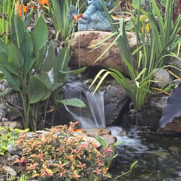 Pond builds