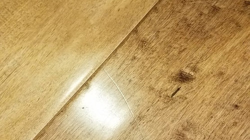 do dog paws scratch wood floors