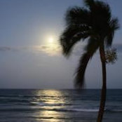 Paula Nordblad's photo