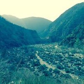 Joey Buslon's photo