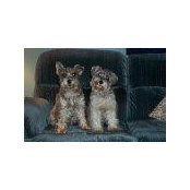 Judy Olson's photo