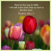 Sheri Clements's photo