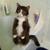 Cathy Duren's photo