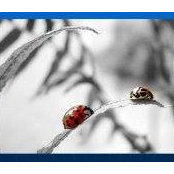 Michal Massa's photo