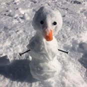 Jolene Drechsler's photo
