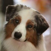 Foto von Belinda Rhoads