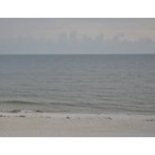 Sharon Barraco's photo