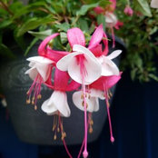 Tammy Washburn's photo