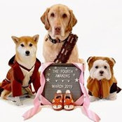 Nikki Phung's photo