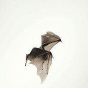 Megan Roberts's photo
