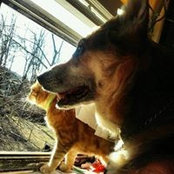 Amy Palazzolo's photo