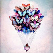 Heba Salah's photo