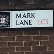 Mark Rowland's photo