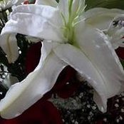 Sally Hardeo's photo