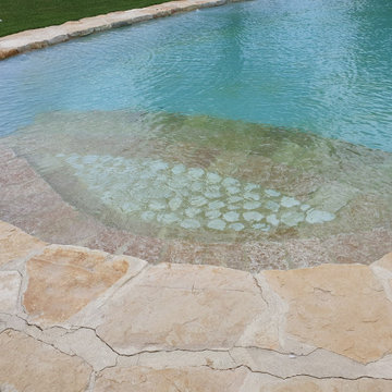 Natural swimming pool