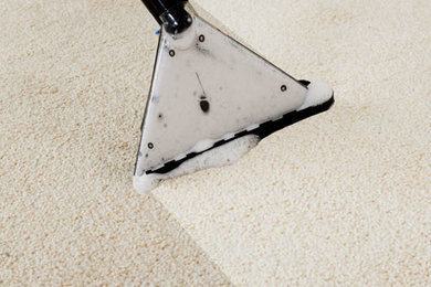 Green Cleaners Team Carpet Cleaning Canberra