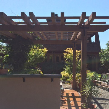 San Rafael Hillside renovation