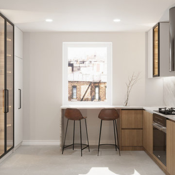 Park Avenue Kitchen Remodel