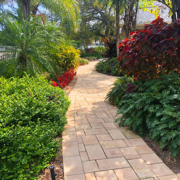 Extra large lot, reborn after a fire