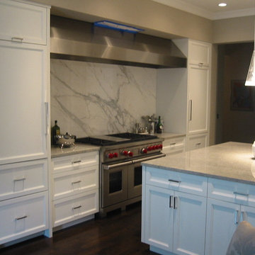 Contemporary kitchen