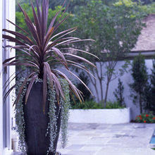 Landscape Ideas
