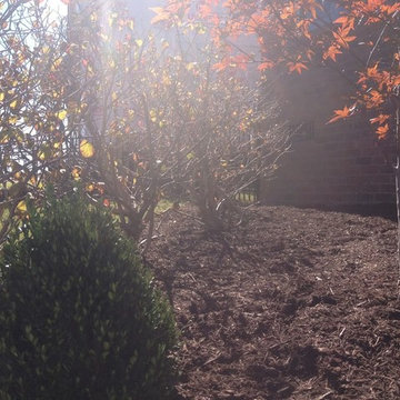 Back yard Landscape Design Install in Spring Hill TN near Nashville Tennessee