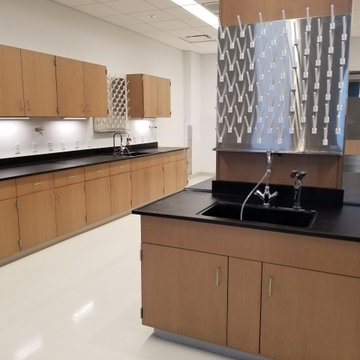 Laboratory Remodel in Manchester