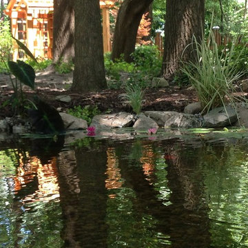 Lost loved one - Dedication Pond