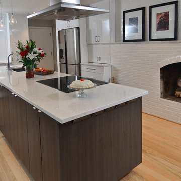 Portland Contemporary Kitchen Redesign