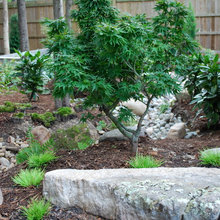 woodland garden
