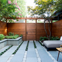 Backyard Meridian 2020