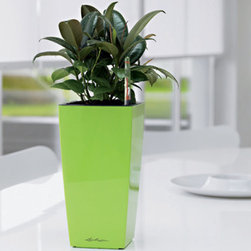 Lechuza - Home Decor