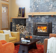 REGENCY FIREPLACE PRODUCTS - Project Photos u0026 Reviews - Delta, BC CA | Houzz