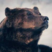 Marina Tkachenko's photo