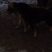 Ismael Desloges's photo