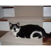 Alicia Wiseman-Fouty's photo
