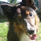 Kathy Petite's photo