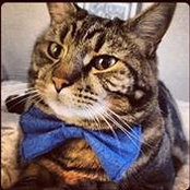 Ignatius Smith's photo