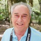 Les Freed's photo