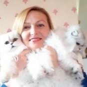Elena Shaleva's photo