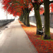 Ario Wibowo's photo